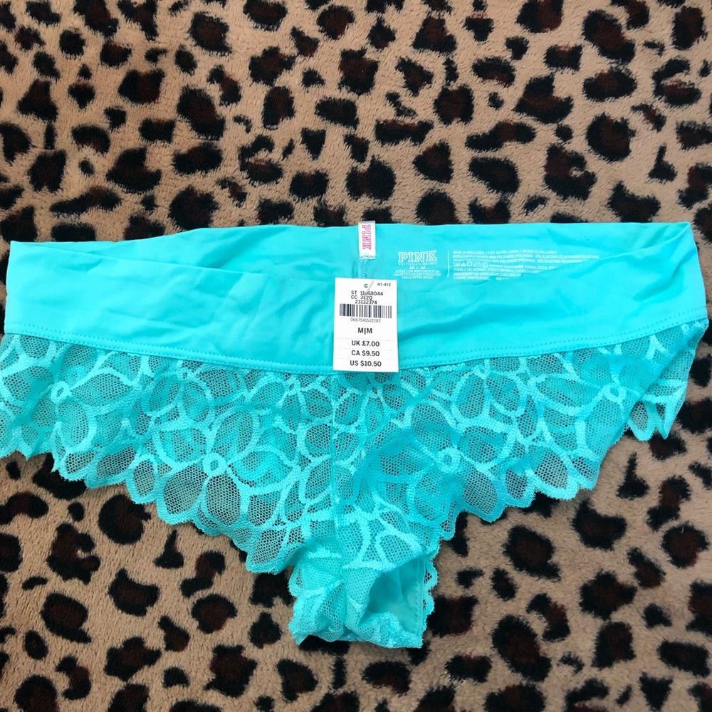 Teal extra low rise cheekster panties
